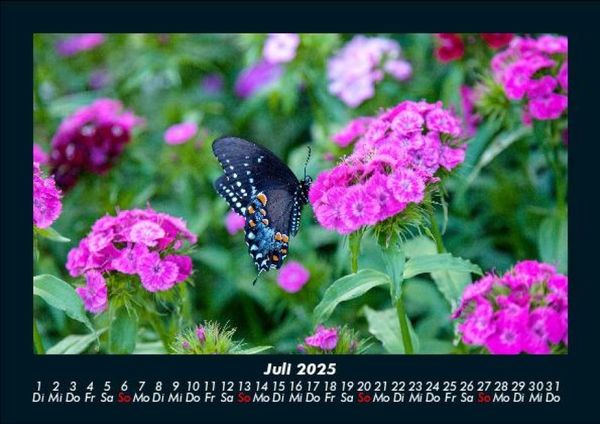 Produktbild: Blumenzauber 2025 Fotokalender DIN A5