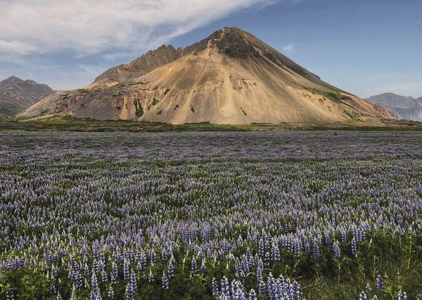 Produktbild: Abenteuer Island