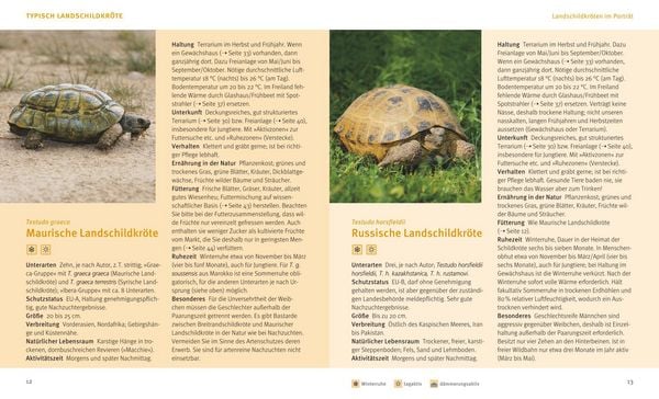 Produktbild: Landschildkr&ouml;ten
