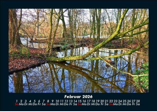 Produktbild: B&auml;ume 2026 Fotokalender DIN A5