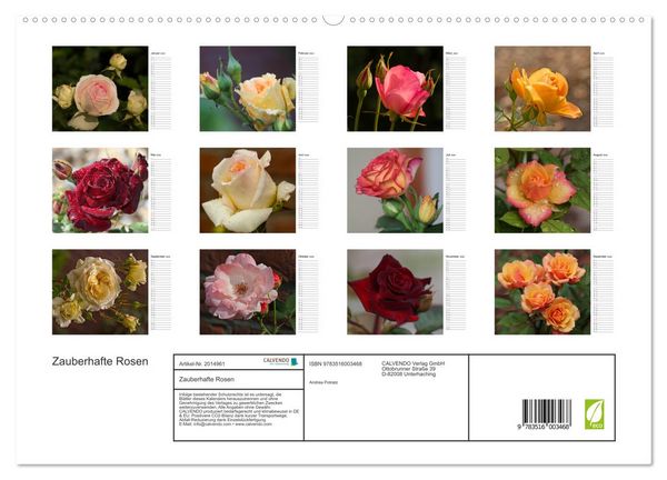 Produktbild: Zauberhafte Rosen (hochwertiger Premium Wandkalender 2026 DIN A2 quer), Kunstdruck in Hochglanz
