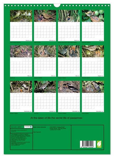 Produktbild: At the dawn of life the secret life of passerines (Wall Calendar 2026 DIN A3 portrait), CALVENDO 12 Month Wall Calendar