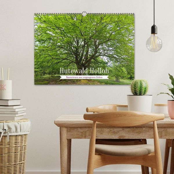 Produktbild: Hutewald Halloh - Baumriesen aus vergangenen Zeiten (Wandkalender 2027 DIN A3 quer), CALVENDO Monatskalender