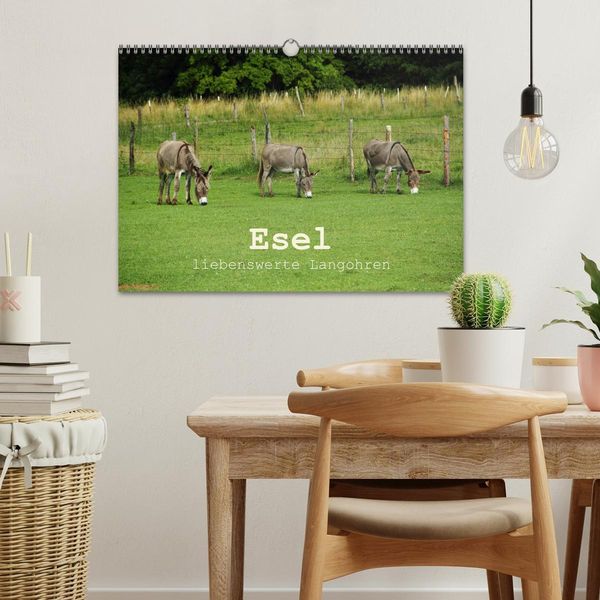 Produktbild: Esel - liebenswerte Langohren (Wandkalender 2026 DIN A3 quer), CALVENDO Monatskalender
