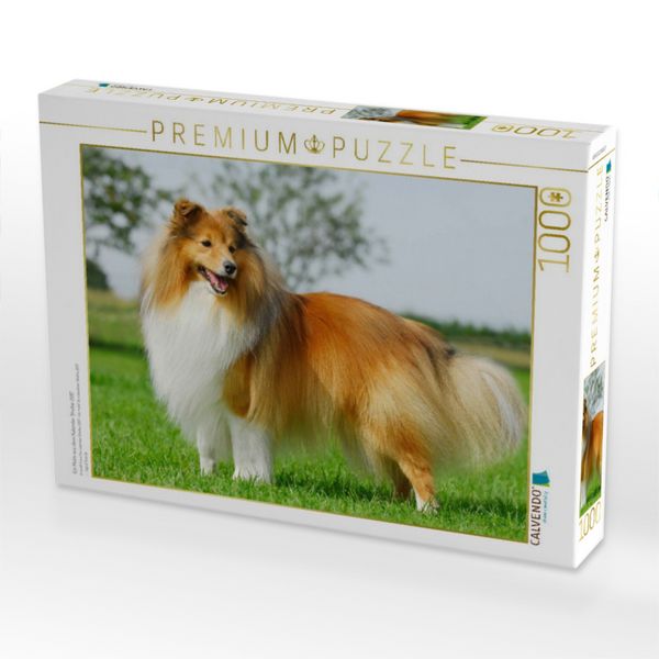 Produktbild: CALVENDO Puzzle Ein Motiv aus dem Kalender Sheltie 2017 | 1000 Teile Lege-Gr&ouml;&szlig;e 64x48cm Foto-Puzzle f&uuml;r gl&uuml;ckliche Stunden