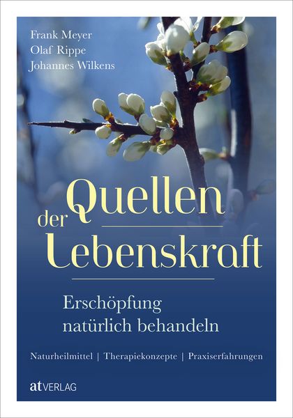 Produktbild: Quellen der Lebenskraft &ndash; Ersch&ouml;pfung nat&uuml;rlich behandeln