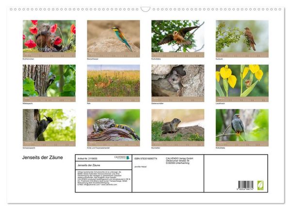 Produktbild: Jenseits der Z&auml;une (Wandkalender 2026 DIN A2 quer), CALVENDO Monatskalender