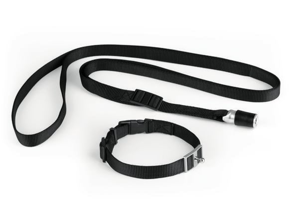 Produktbild: GoLeyGo Hundeleine & Halsband S schwarz