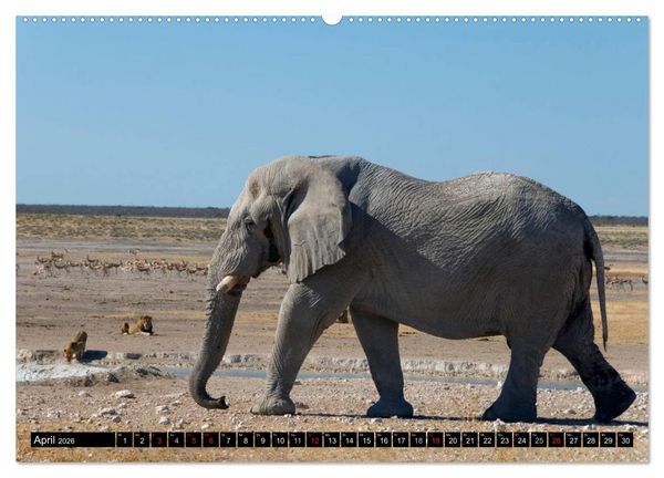 Produktbild: Faszination Namibia (hochwertiger Premium Wandkalender 2026 DIN A2 quer), Kunstdruck in Hochglanz