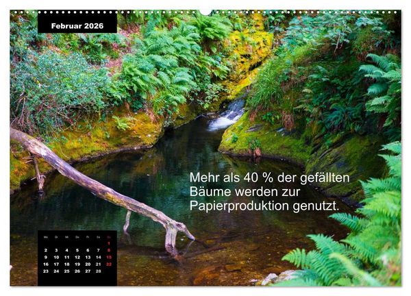 Produktbild: Schlaumeier-Kalender - Thema: Wald (Wandkalender 2026 DIN A2 quer), CALVENDO Monatskalender