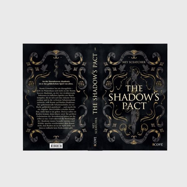 Produktbild: Daughters of the Fallen Gods 1: The Shadow's Pact