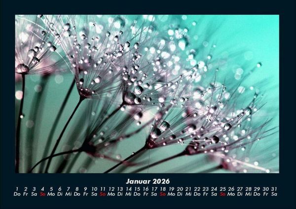 Produktbild: Blumenkalender 2026 Fotokalender DIN A4