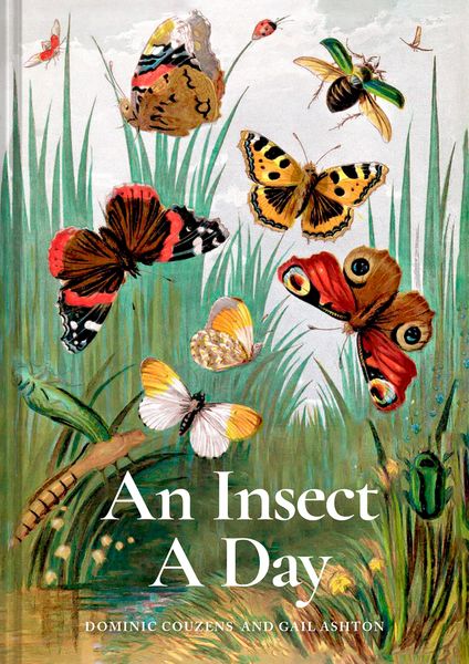 Produktbild: An Insect A Day