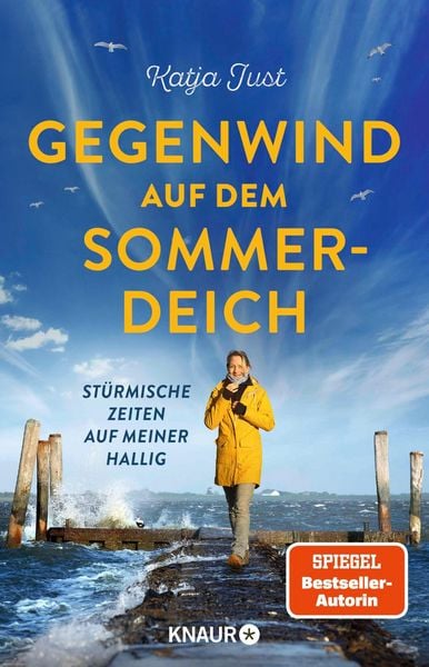 Produktbild: Gegenwind auf dem Sommerdeich