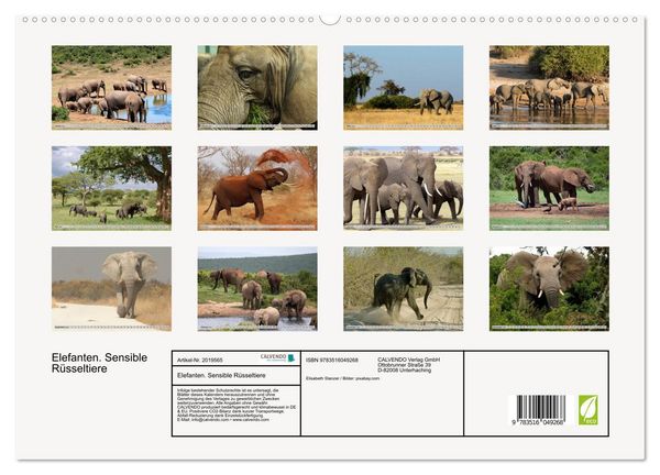 Produktbild: Elefanten. Sensible R&uuml;sseltiere (hochwertiger Premium Wandkalender 2026 DIN A2 quer), Kunstdruck in Hochglanz