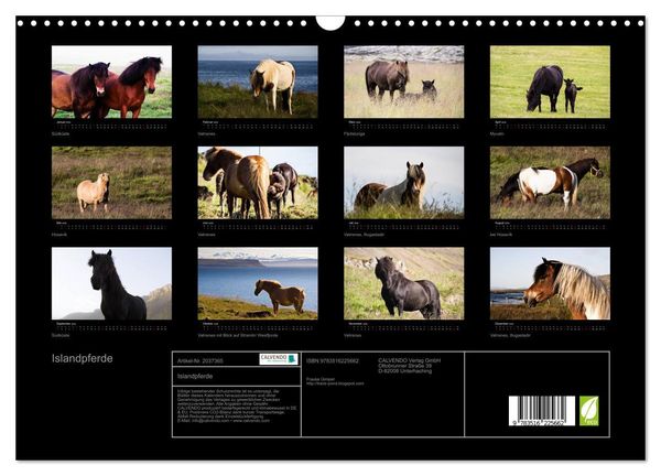 Produktbild: Islandpferde (Wandkalender 2026 DIN A3 quer), CALVENDO Monatskalender