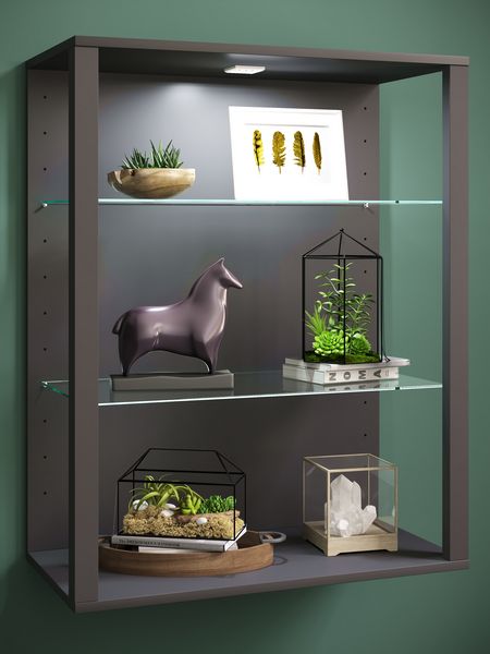 Produktbild: olz Glas Stand Vitrine Sammelvitrine Glasol LW
