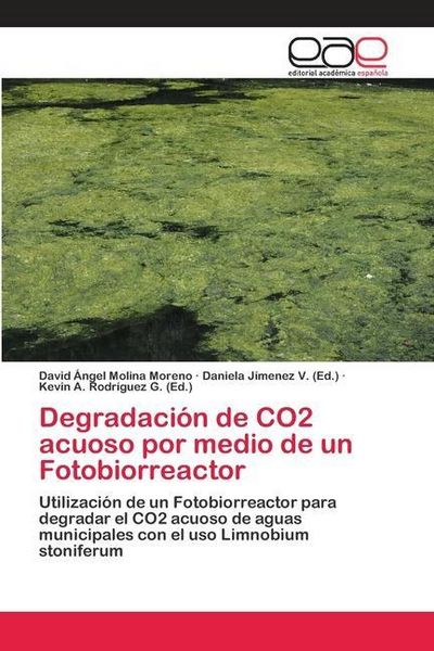 Produktbild: Molina Moreno, D: Degradaci&oacute;n de CO2 acuoso por medio de un