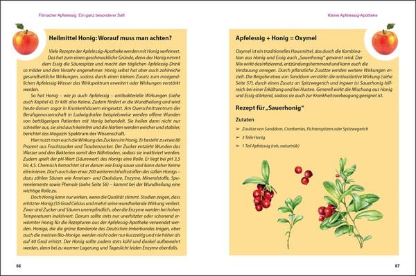 Produktbild: Apfelessig neu entdeckt - Der Alleskönner und seine unbegrenzten Verwendungsmöglichkeiten. Küchenwunder, Beauty-Mittel, Gesundheits-Elixier