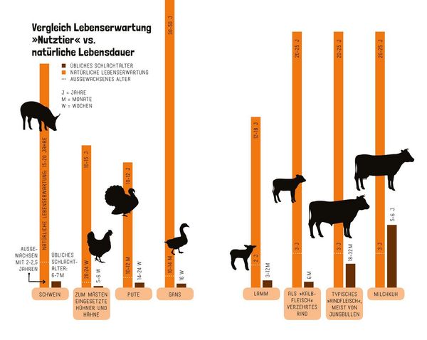 Produktbild: Tiere wollen leben!