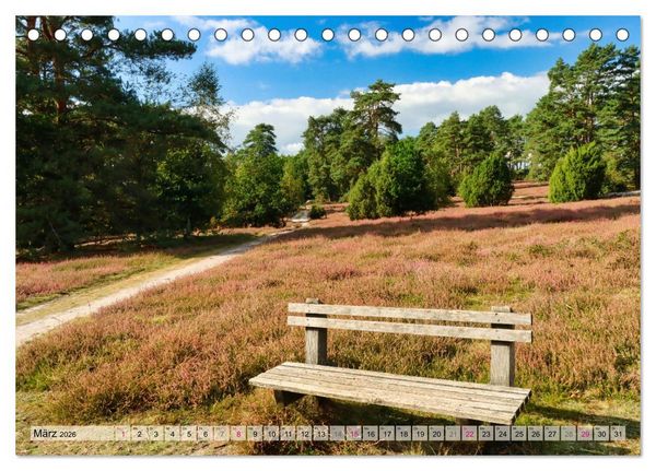 Produktbild: L&uuml;neburger S&uuml;dheide (Tischkalender 2026 DIN A5 quer), CALVENDO Monatskalender