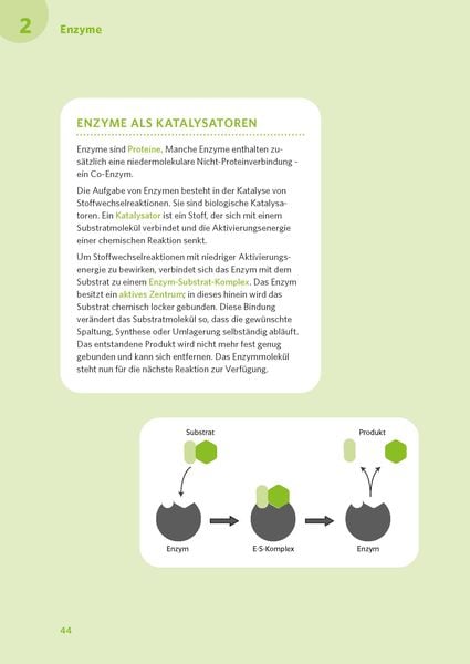 Produktbild: PONS Abi-Check XXL Biologie