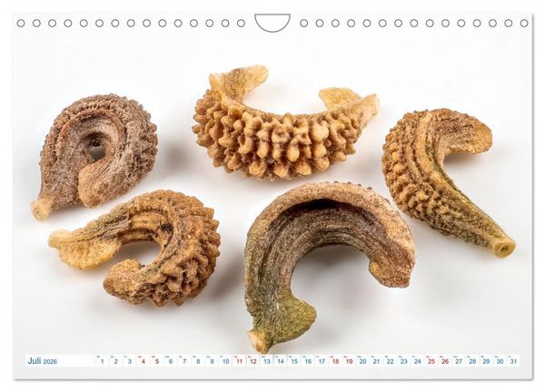 Produktbild: Wundersch&ouml;ne Kleinigkeiten (Wandkalender 2026 DIN A4 quer), CALVENDO Monatskalender