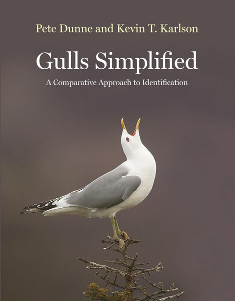 Produktbild: Gulls Simplified
