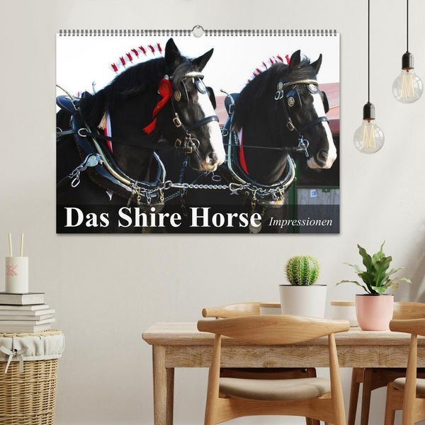 Produktbild: Das Shire Horse. Impressionen (Wandkalender 2026 DIN A2 quer), CALVENDO Monatskalender