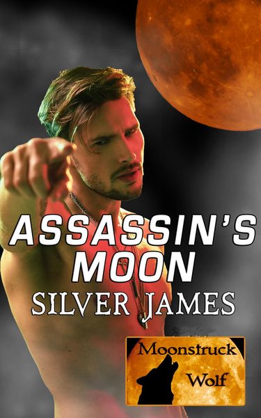 Produktbild: Assassin's Moon (Moonstruck Wolf, #6)