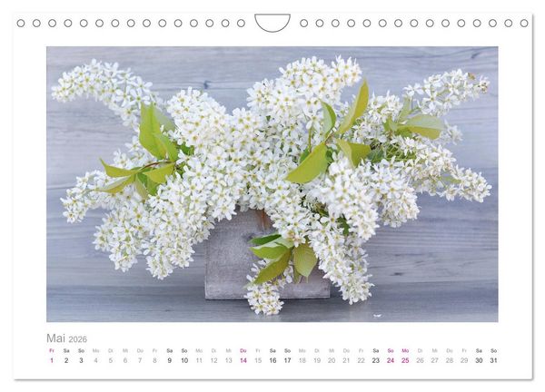 Produktbild: Blumen zart und sch&ouml;n (Wandkalender 2026 DIN A4 quer), CALVENDO Monatskalender