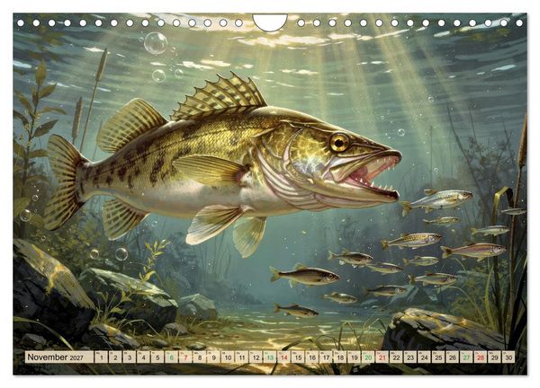 Produktbild: Talsperren - Zander (Wandkalender 2027 DIN A4 quer), CALVENDO Monatskalender