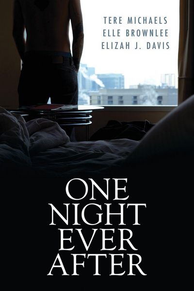 Produktbild: One Night Ever After