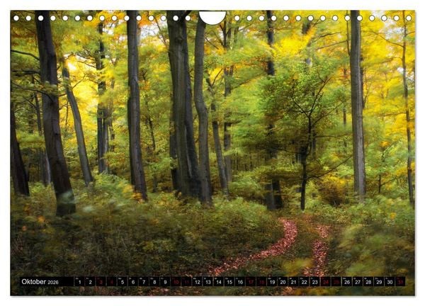 Produktbild: Die Rh&ouml;n (Wandkalender 2026 DIN A4 quer), CALVENDO Monatskalender
