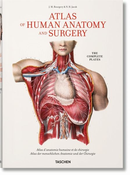 Produktbild: Bourgery. Atlas of Human Anatomy and Surgery