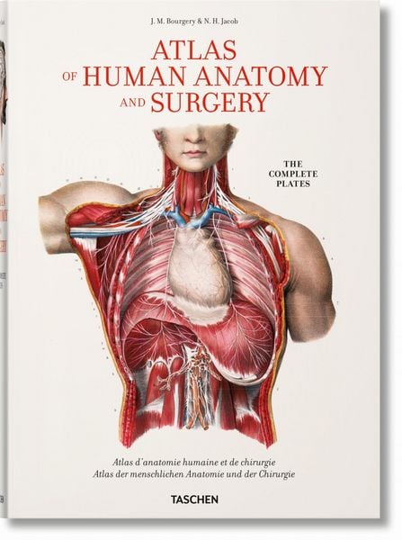 Produktbild: Bourgery