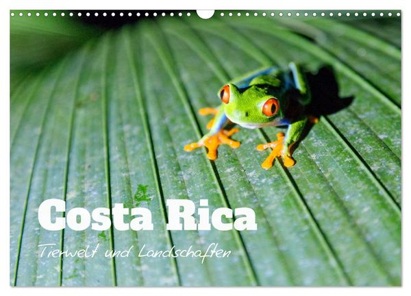 Costa Rica - Tierwelt und Landschaften (Wandkalender 2025 DIN A3 quer), CALVENDO Monatskalender