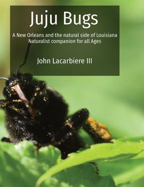Produktbild: Juju Bugs