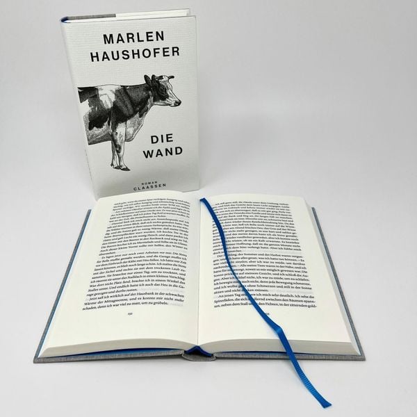 Produktbild: Die Wand