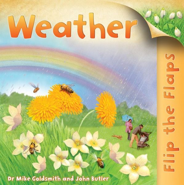 Produktbild: Goldsmith, M: Flip the Flaps: Weather