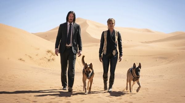 Produktbild: John Wick: Kapitel 3