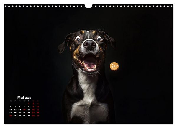 Produktbild: Leckerchen! (Wandkalender 2026 DIN A3 quer), CALVENDO Monatskalender