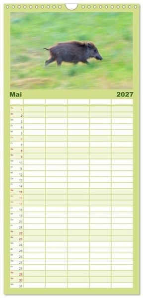 Produktbild: Familienplaner 2027 - Wildschweine &ndash; Wildlife Fotografien mit 5 Spalten (Wandkalender, 21 x 45 cm) CALVENDO