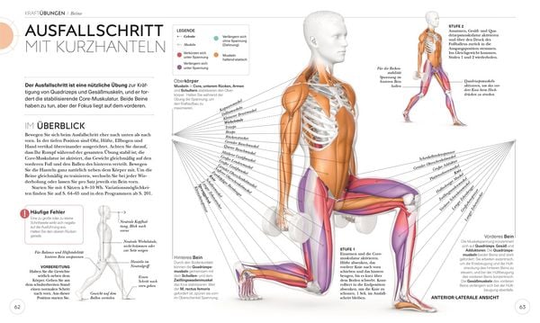 Produktbild: Krafttraining &ndash; Die Anatomie verstehen