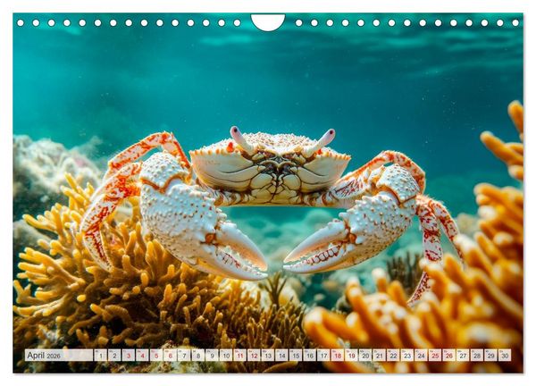 Produktbild: OZEANWELTEN Faszination Meerestiere (Wandkalender 2026 DIN A4 quer), CALVENDO Monatskalender