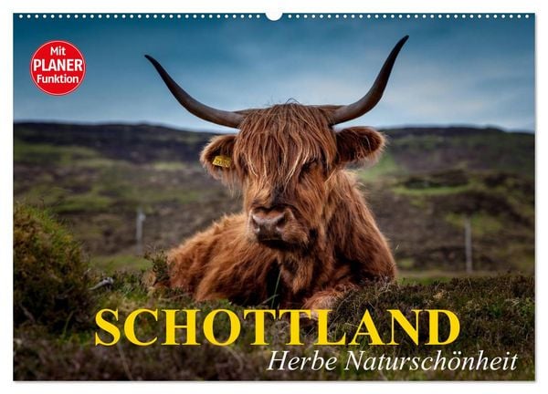 Produktbild: Schottland. Herbe Natursch&ouml;nheit (Wandkalender 2026 DIN A2 quer), CALVENDO Monatskalender