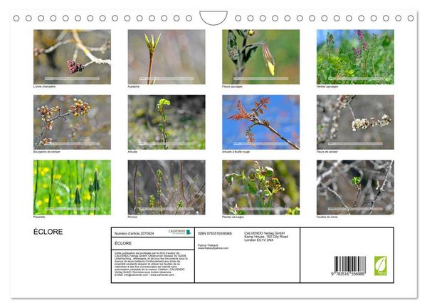 Produktbild: &Eacute;CLORE (Calendrier mural 2026 DIN A4 vertical), CALVENDO calendrier mensuel