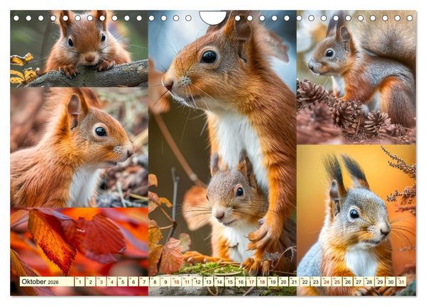 Produktbild: Eichh&ouml;rnchen - tollk&uuml;hne Kletterer (Wandkalender 2026 DIN A4 quer), CALVENDO Monatskalender