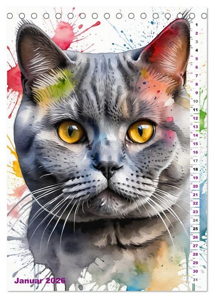 Produktbild: KATZENKALENDER - Aquarell Katzenportraits f&uuml;r Katzenliebhaber (Tischkalender 2026 DIN A5 hoch), CALVENDO Monatskalender