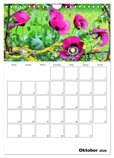 Produktbild: Langeoog - eine Trauminsel (Wandkalender 2026 DIN A4 hoch), CALVENDO Monatskalender